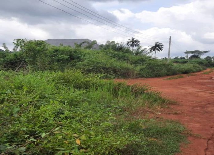Unpaved earth road through Irrua township before rehabilitation, Edo Central